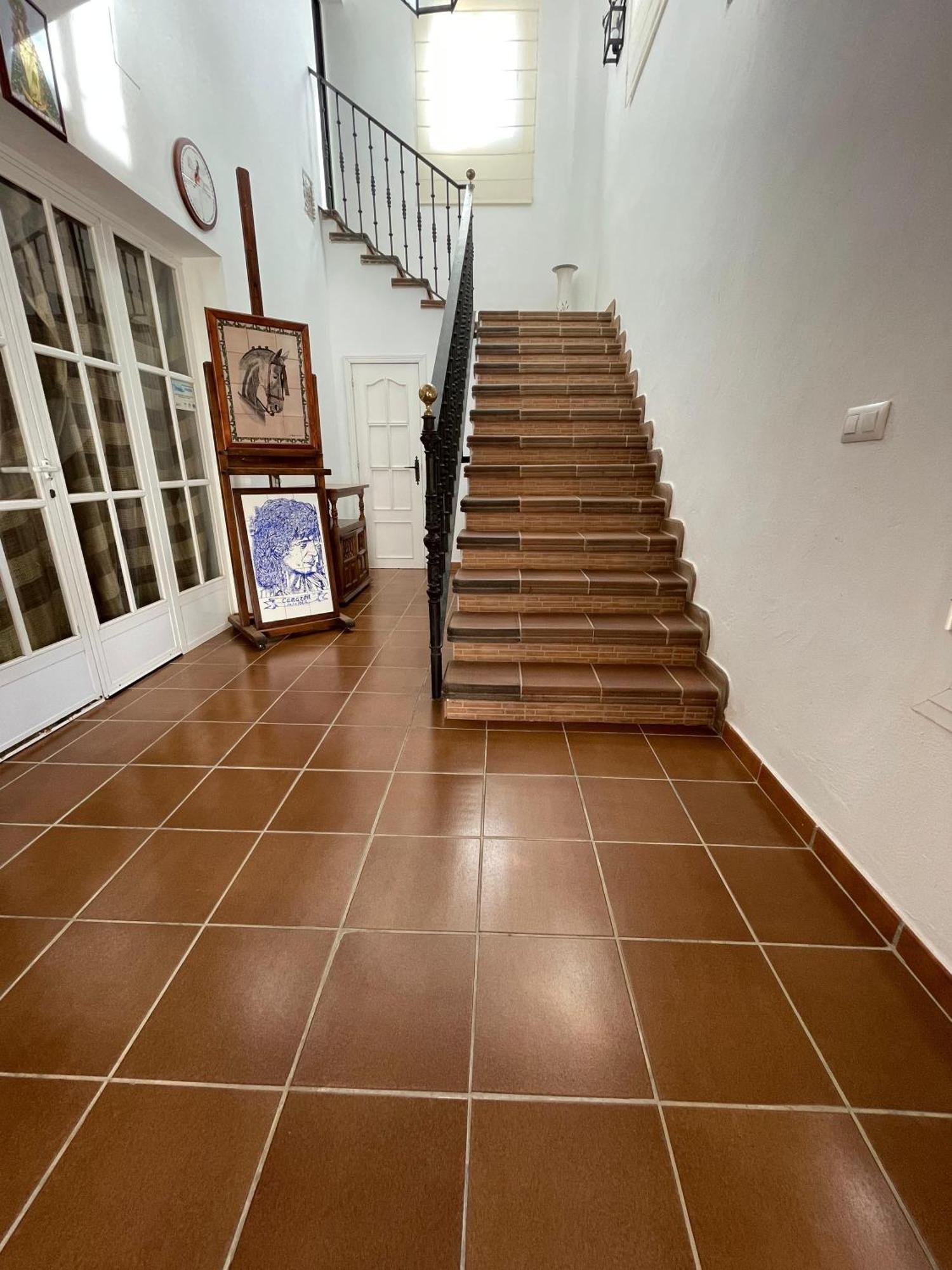 Finca La Tacita - Petunia Conil De La Frontera Ngoại thất bức ảnh