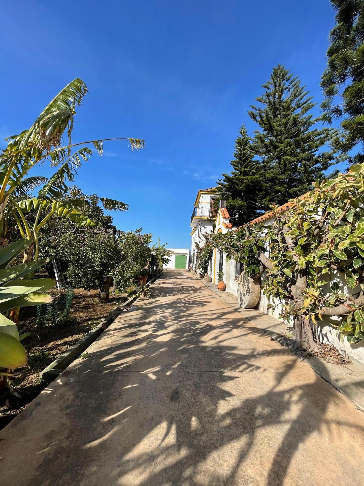 Finca La Tacita - Petunia Conil De La Frontera Ngoại thất bức ảnh